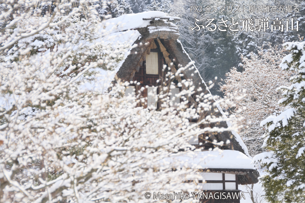 冬の飛騨高山の写真(雪景色)です－撮影 柳沢雅彦