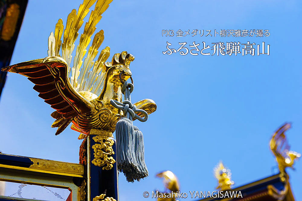 春の高山祭（山王祭）の観光写真です－撮影 柳沢雅彦