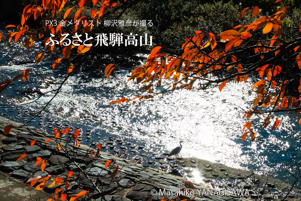 秋の飛騨高山の写真です－撮影 柳沢雅彦