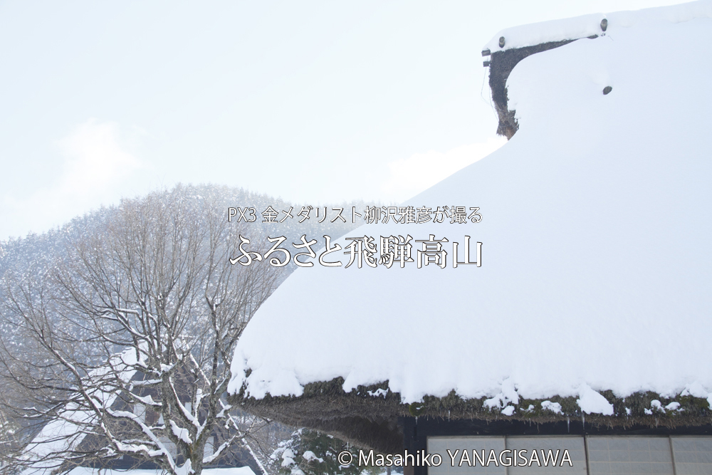 初冬の飛騨高山(雪の合掌造り)撮影・柳沢雅彦