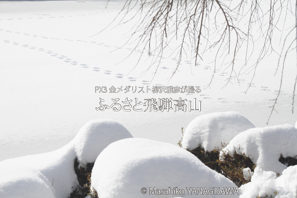 初冬の飛騨高山(雪景色)　撮影・柳沢雅彦