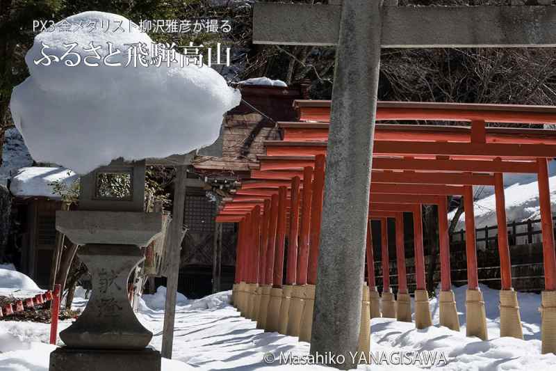 春の飛騨高山の写真（神社仏閣）です－撮影 柳沢雅彦