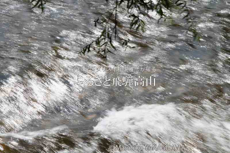 夏の飛騨高山の写真（川,水面）です－撮影 柳沢雅彦